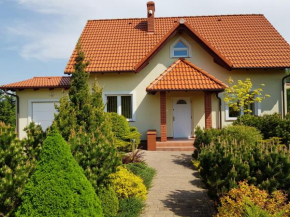 Dom Wakacyjny Z Widokiem Na Jezioro w Borzechowie